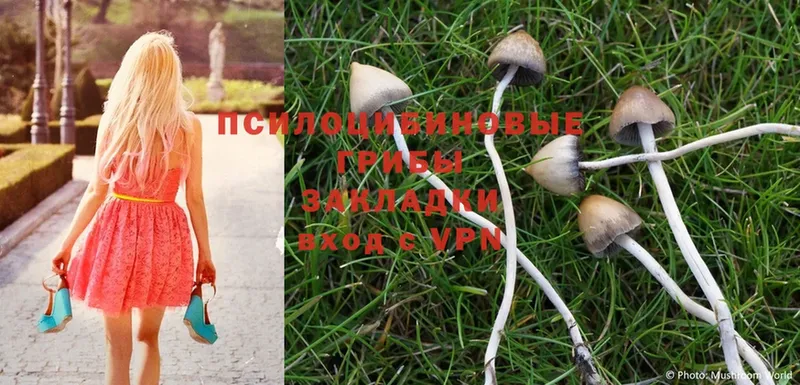 Галлюциногенные грибы Magic Shrooms  Навашино 